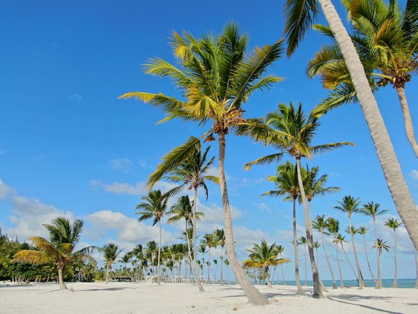 Location vélo électrique à nice : tarifs et meilleures adresses